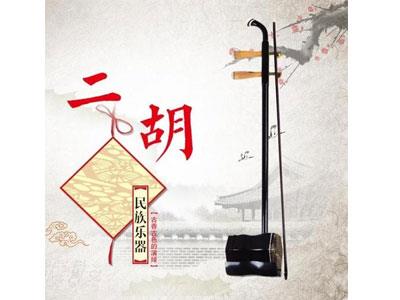 招聘重庆二胡家教老师